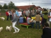 Viele Menschen und Hunde...
