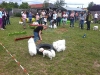 lustige Spiele
