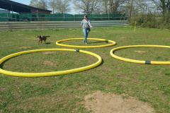 Distanz-/Kreistraining