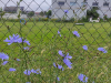 photo-2024-07-10-17-14-44bfb